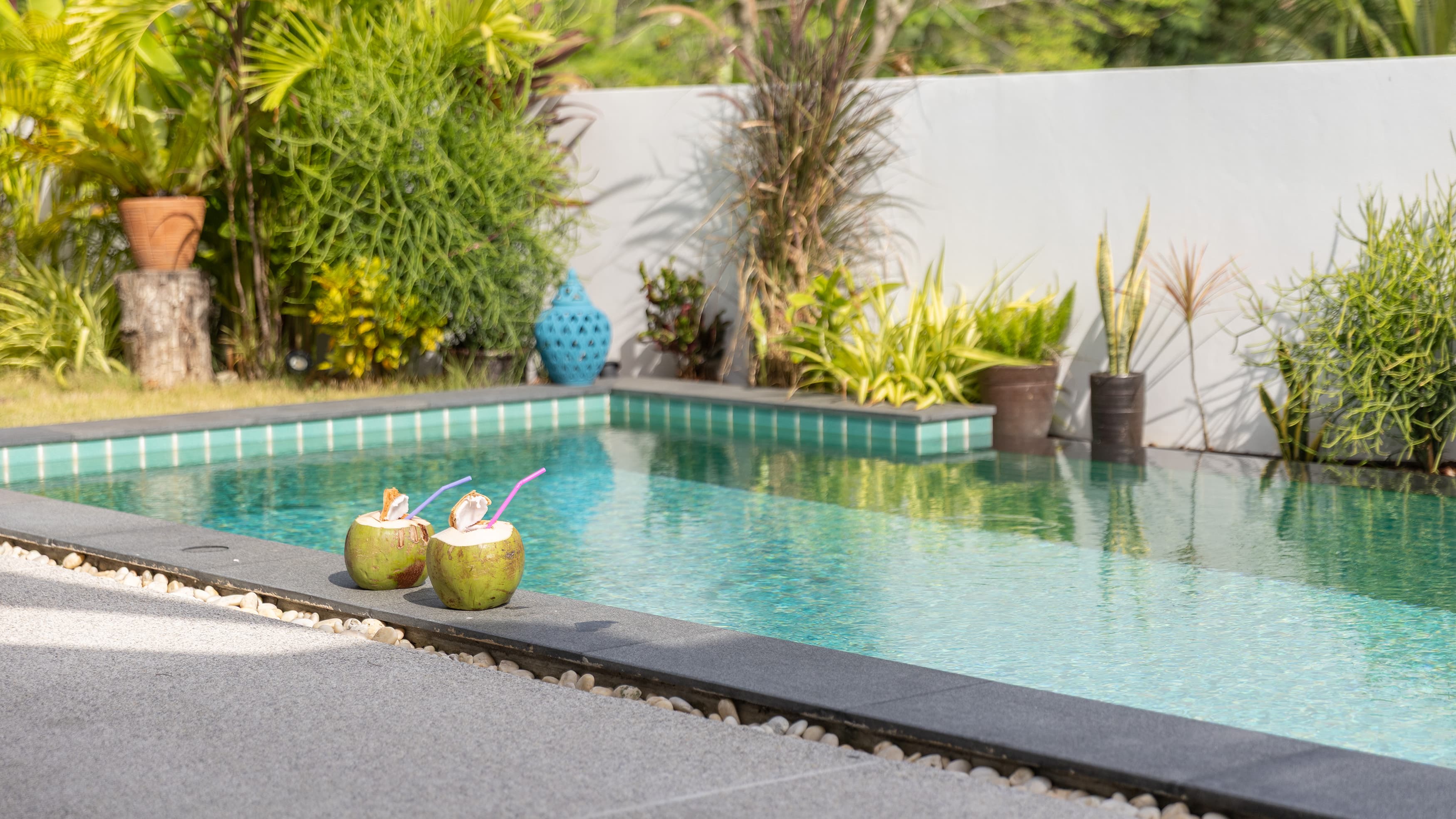 Fresh coconuts by the turquoise pool — Barefoot Villas