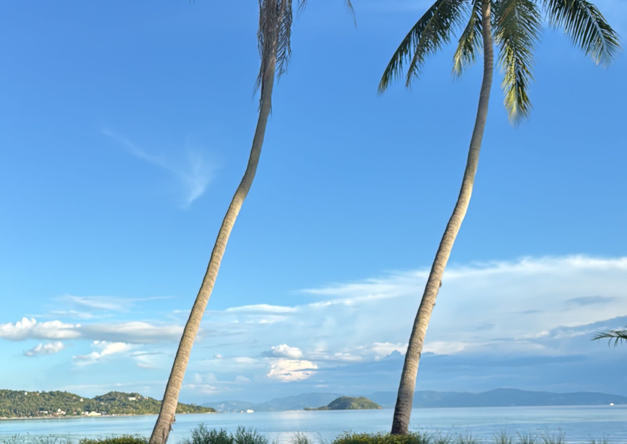 Palms, the sea and the islands seen from the villa garden on Hin Kong Beach